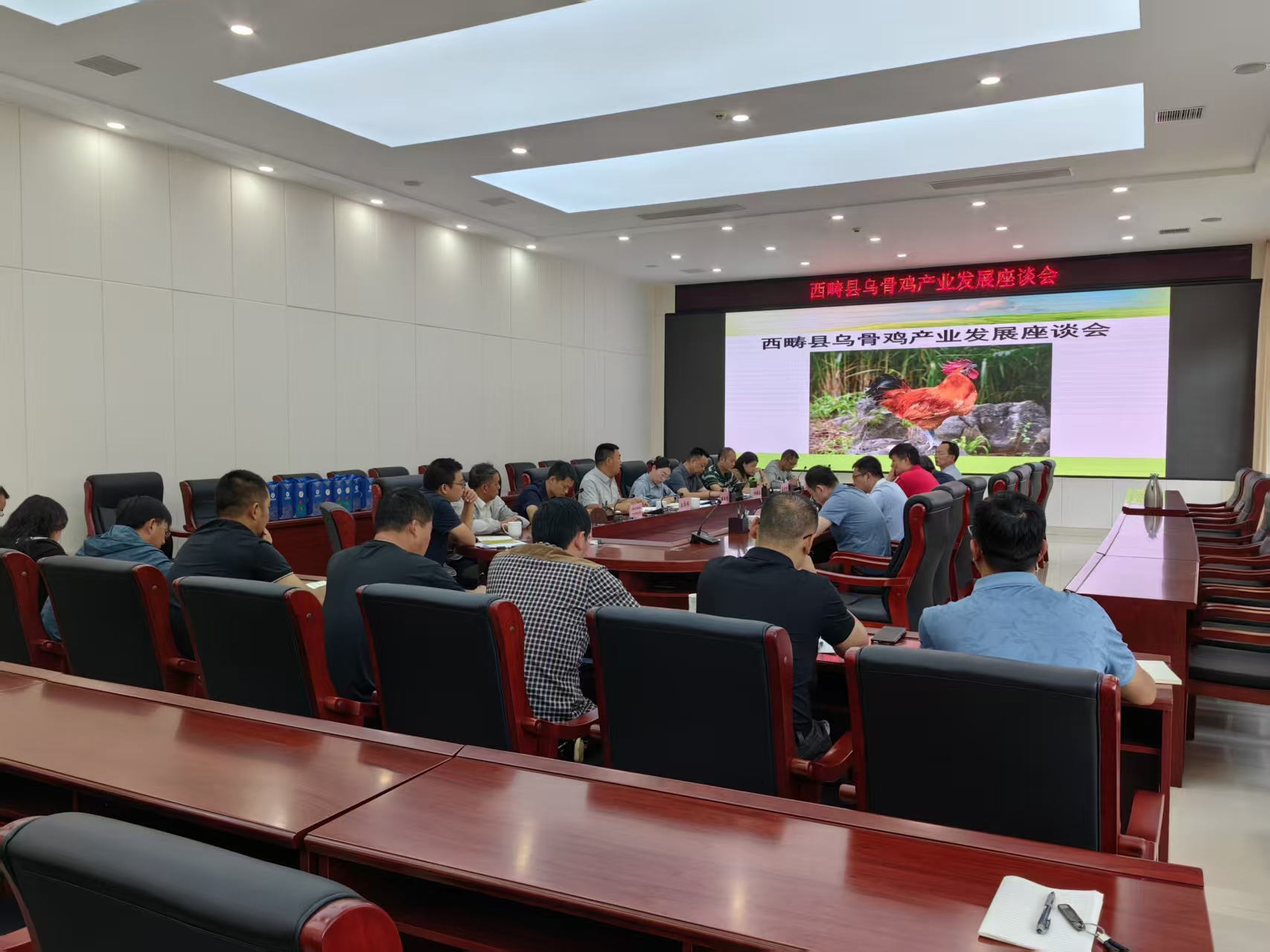 科技赋能 兴边富民——我校禽蛋产业体系试验站联合多单位赴西畴县开展乌骨鸡产业科技推广服务